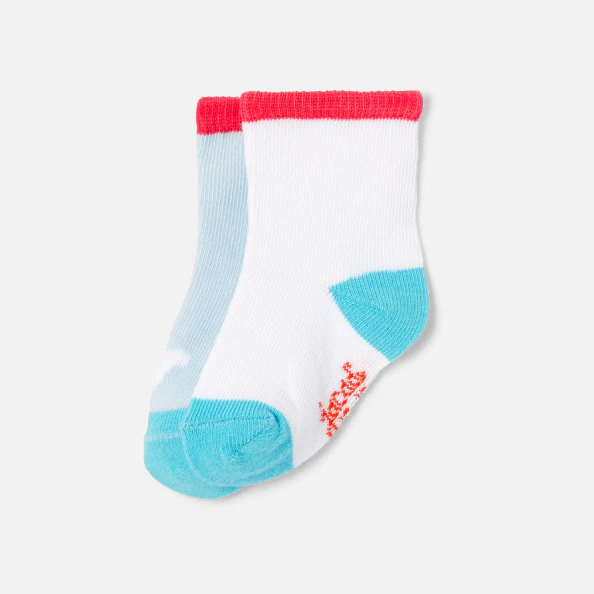 Duo de chaussettes bébé garçon