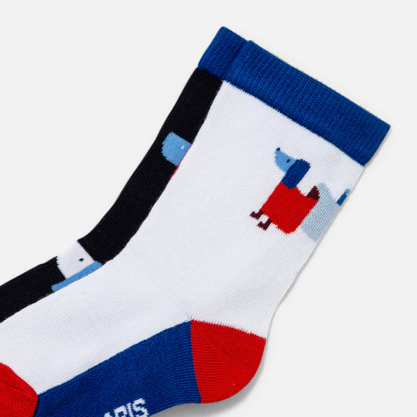 Duo de chaussettes enfant garçon