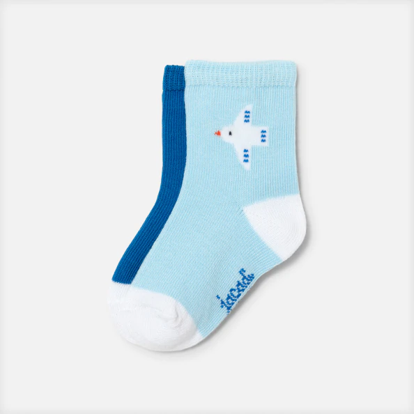 Duo de chaussettes bébé garçon