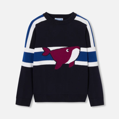 Pull enfant garçon