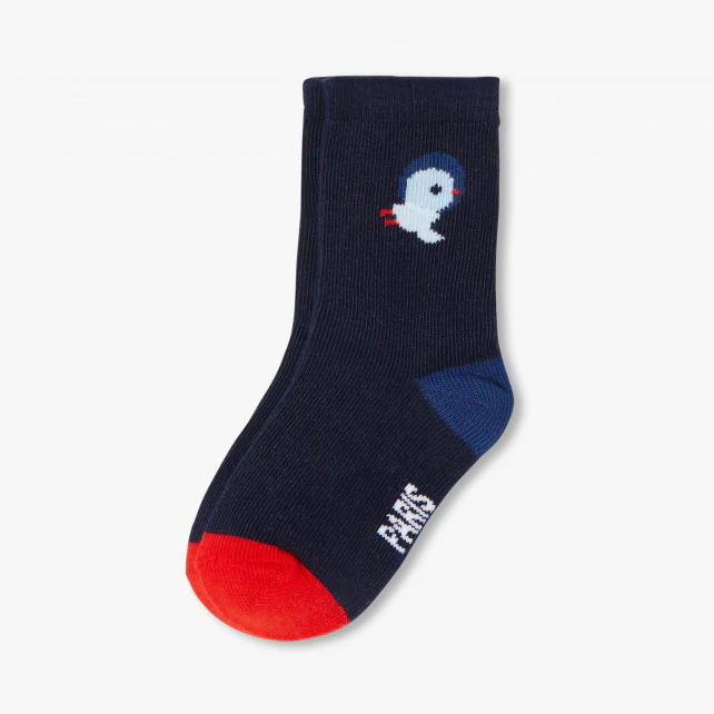 Duo de chaussettes bébé garçon