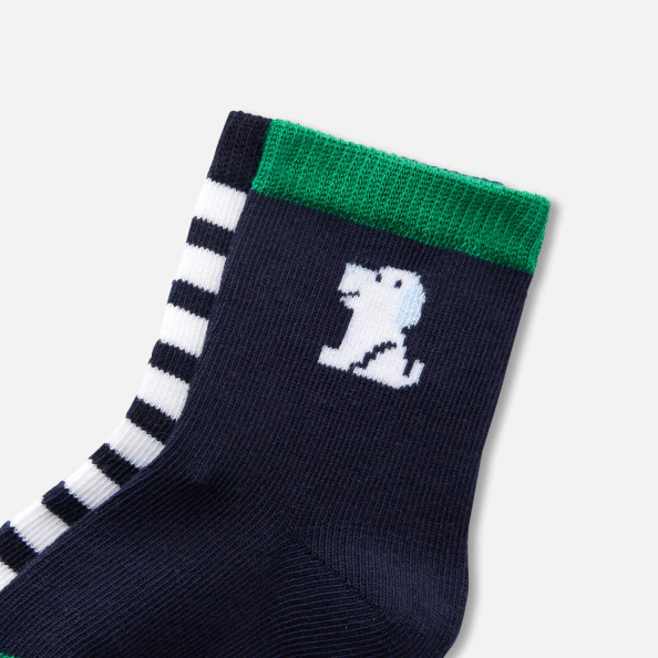 Duo de chaussettes bébé garçon