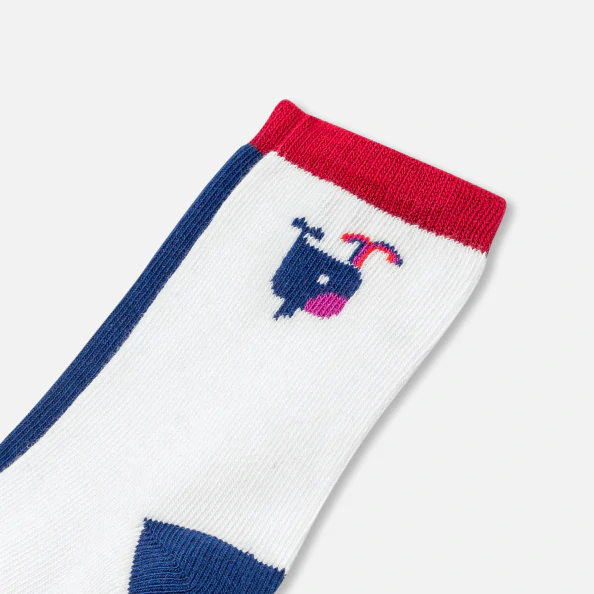 Duo de chaussettes bébé garçon