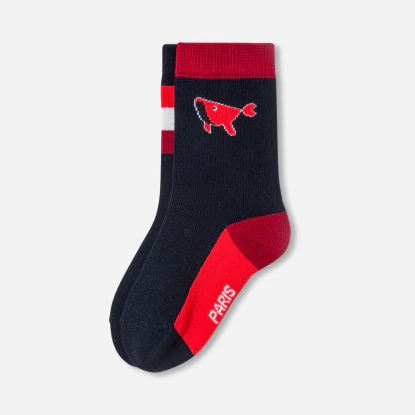 Duo de chaussettes enfant garçon